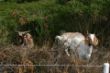 IJGD 20. und 21.8.2013 089.jpg