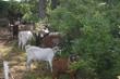 IJGD 20. und 21.8.2013 007.jpg